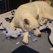 John Ortman Photo 24