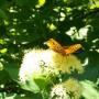 Joanne Hughes Photo 14