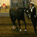 Zeb English Photo 7