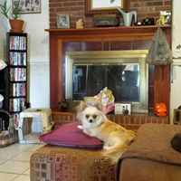 Barbara Corley Photo 17