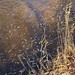 Gary Michel Photo 23