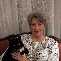 Judy Stephenson Photo 8