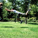 Jill Whitten Photo 5