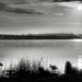 Steven Ainsworth Photo 27