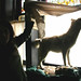 Judith Schaechter Photo 11