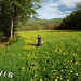David Orvis Photo 14