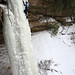 Tracey Rogers Photo 22