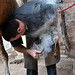 James Farrier Photo 14