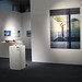 Diane Salas Photo 17