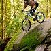 Dan Webster Photo 30