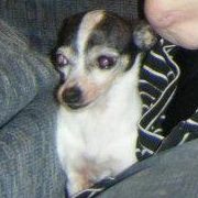 Catherine Debolt Photo 1