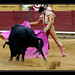 Veronica Campos Photo 14