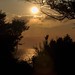 Larry Casey Photo 23