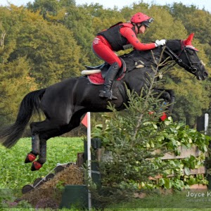 Michelle Brinkman Photo 8
