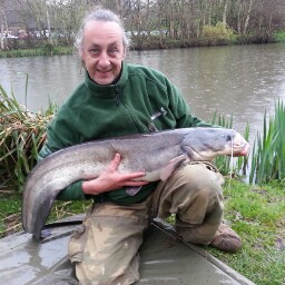 Alan Chaney Photo 18