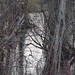 Bruce Jaeger Photo 16