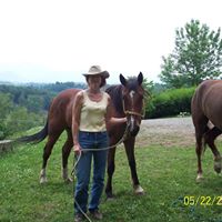 Janet Hutchins Photo 15