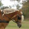 Susan Selby Photo 16