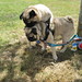 Dexter Paul Photo 21