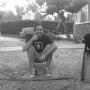 Jose Cisneros Photo 4