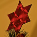 David Bush Photo 39