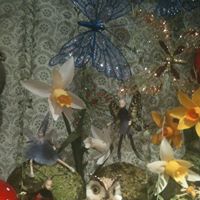 Mara Hodges Photo 2