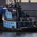 Paul Andrews Photo 51