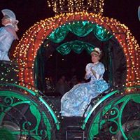 Ann Hendrickson Photo 8