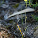 Victoria Boardman Photo 6