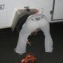 Lacie Miller Photo 25