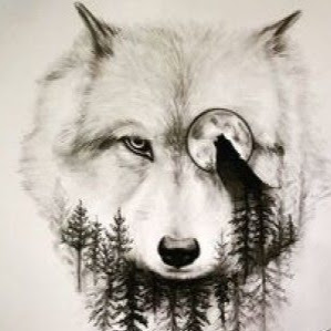 Seth Jensen Photo 6