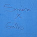 Sandra Gallo Photo 16
