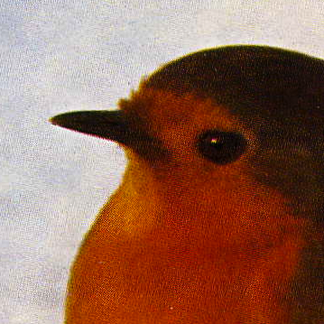Robin Griffith Photo 21