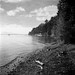 William Burt Photo 50