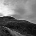 Arthur Muir Photo 10