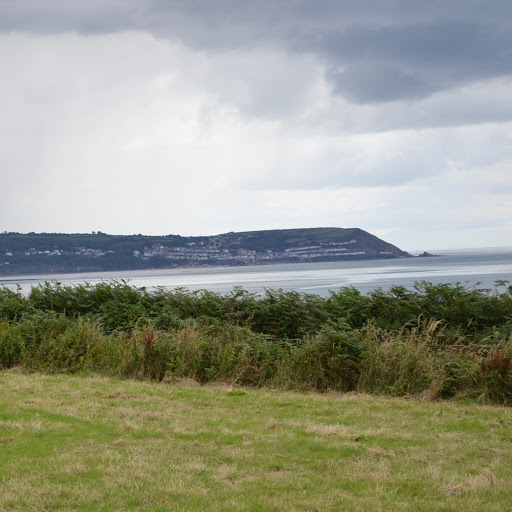 Daryl Roberts Photo 15