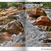 Lisa Reis Photo 34