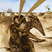 Lynn Stacy Photo 9
