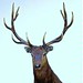 Aaron Haste Photo 10