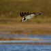 Bryan Hunt Photo 44