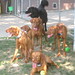 Forrest Rodgers Photo 10