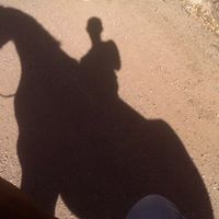 Andrea Falcone Photo 15