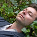 David Hark Photo 6
