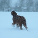 Holly Watson Photo 15