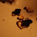 Jodie Burns Photo 7