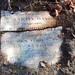 Sarah Hale Photo 41