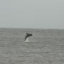 Michelle Hankins Photo 23