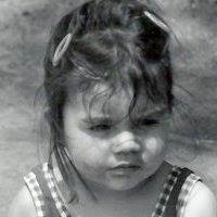Joyce Distefano Photo 1