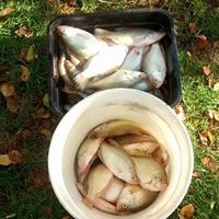 James Choate Photo 27