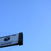 Andrew Warnecke Photo 9